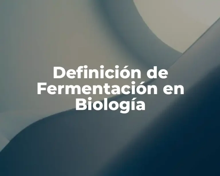 Definición de Fermentación en Biología