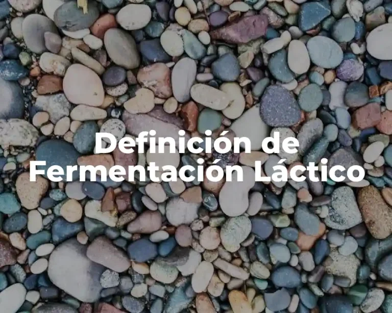 Definición de Fermentación Láctico