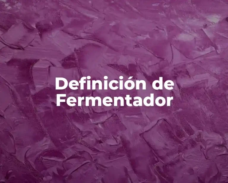 Definición de Fermentador