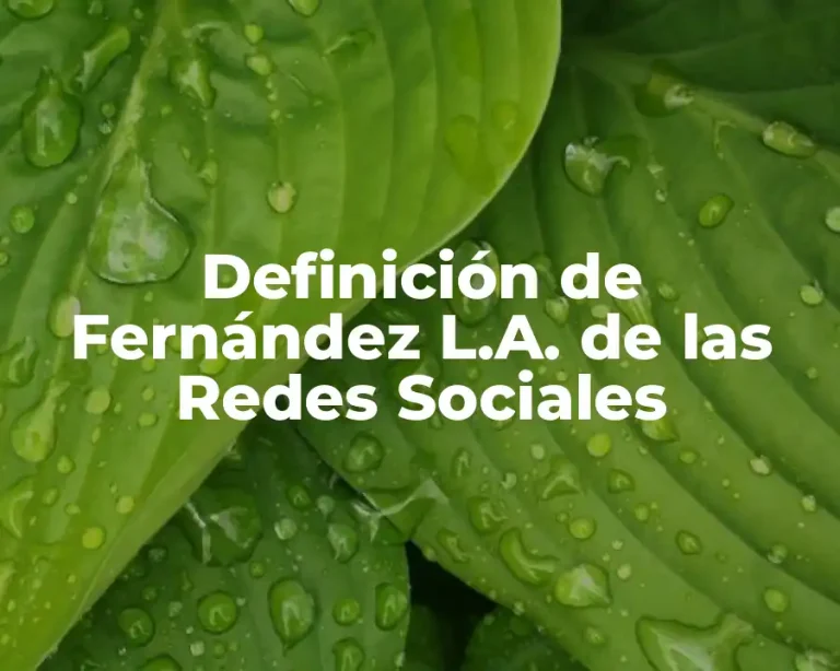 Definición de Fernández L.A. de las Redes Sociales