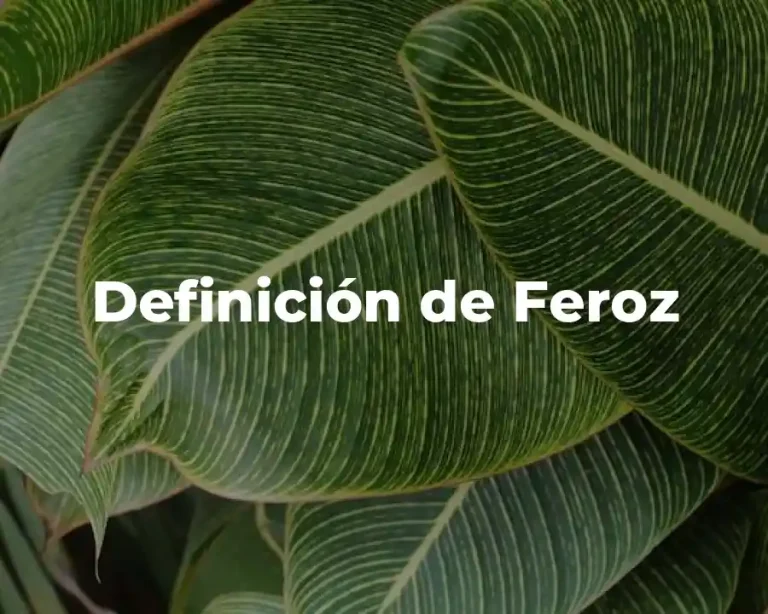 Definición de Feroz