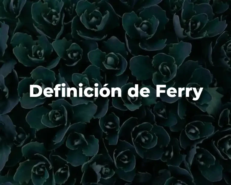 Definición de Ferry