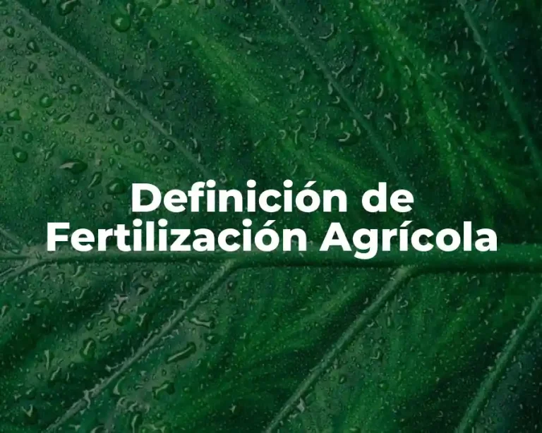 Definición de Fertilización Agrícola