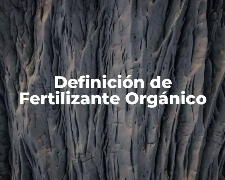 Definición de Fertilizante Orgánico