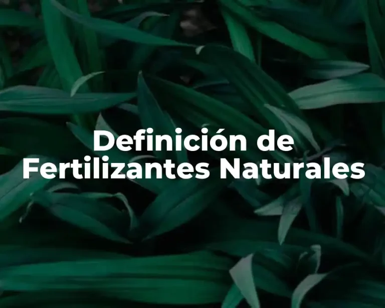 Definición de Fertilizantes Naturales