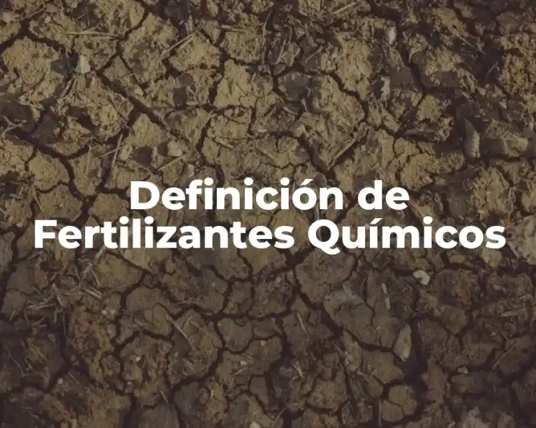 Definición de Fertilizantes Químicos