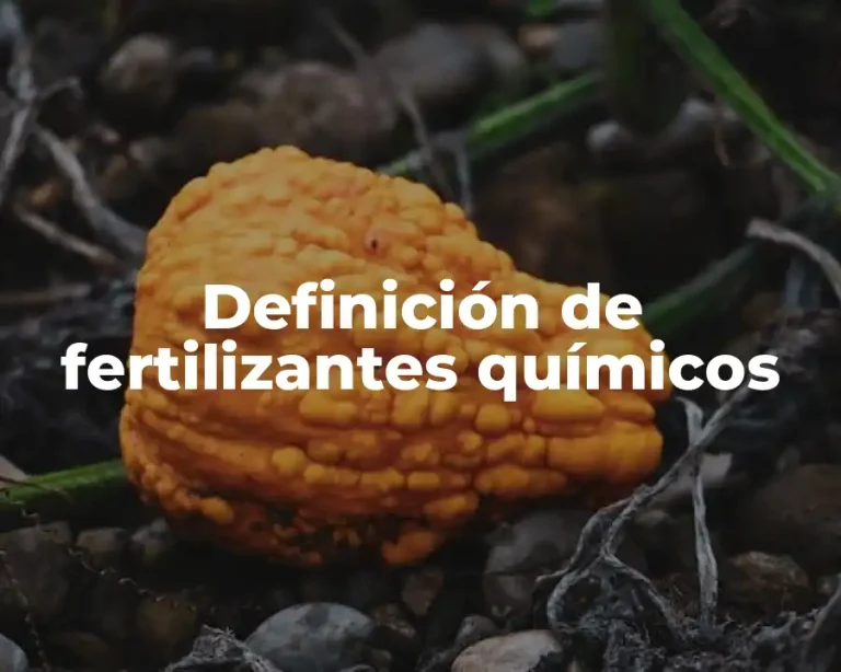 Definición de fertilizantes químicos