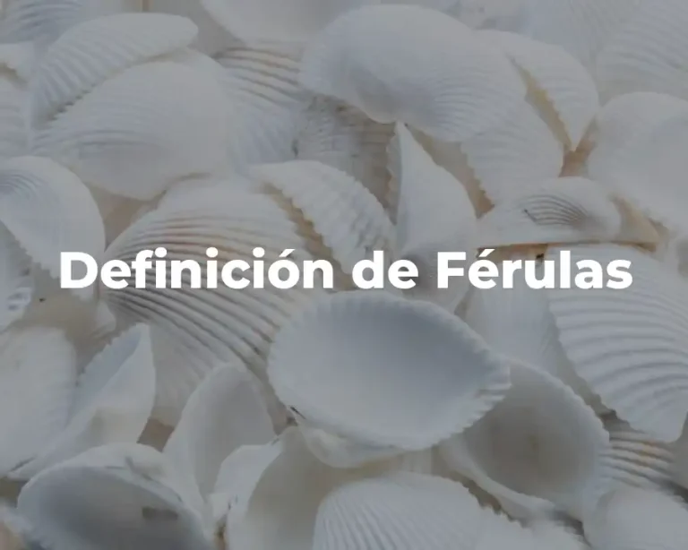 Definición de Férulas