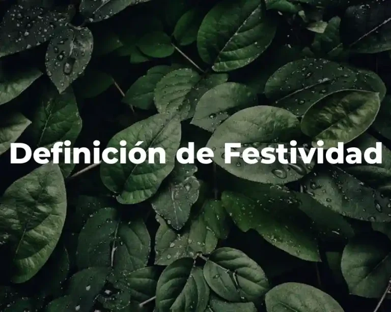 Definición de Festividad