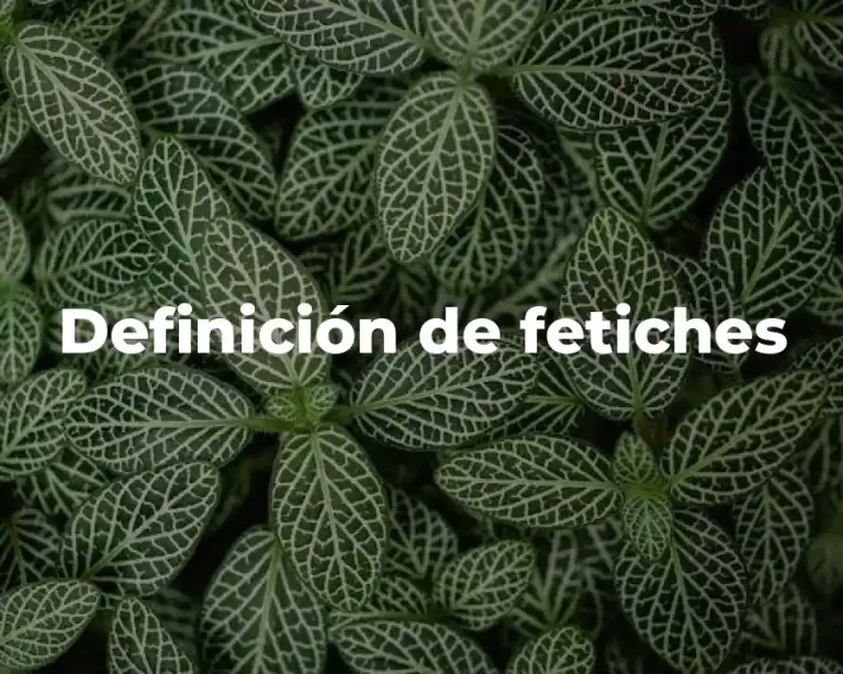 Definición de fetiches