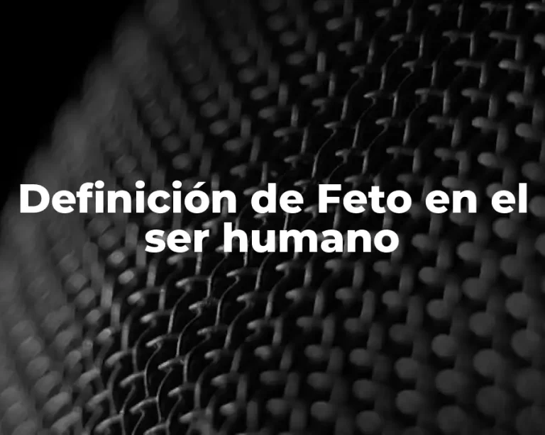 Definición de Feto en el ser humano