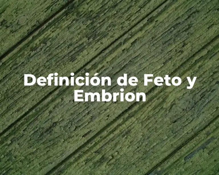 Definición de Feto y Embrion