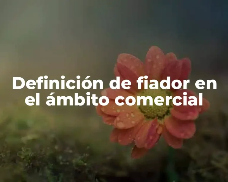 Definición de fiador en el ámbito comercial