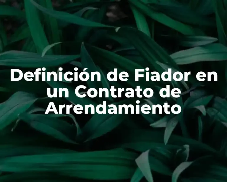 Definición de Fiador en un Contrato de Arrendamiento