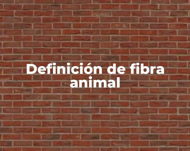 Definición de fibra animal