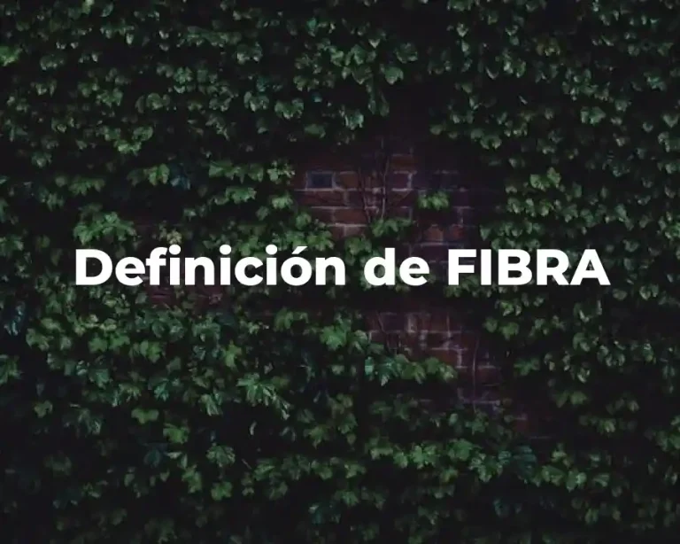 Definición de FIBRA