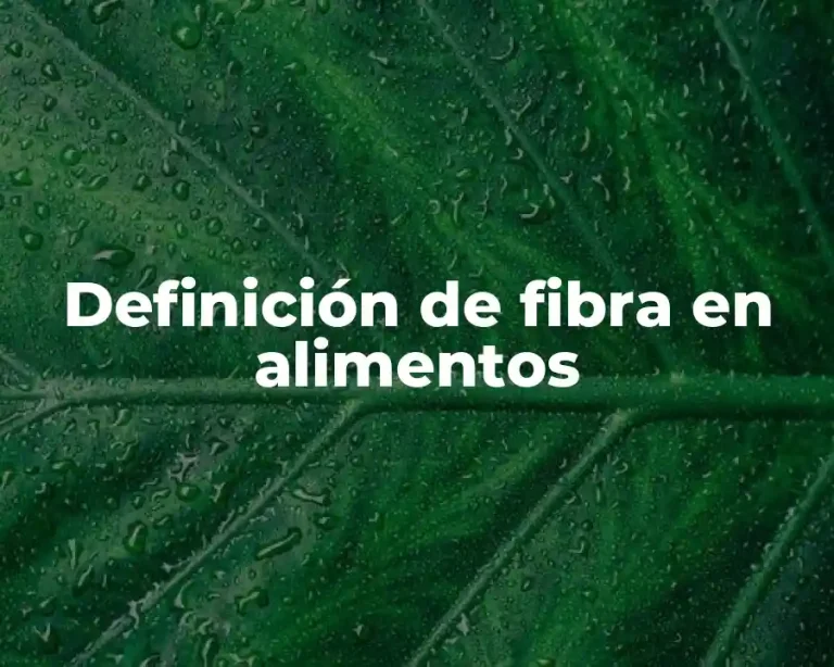 Definición de fibra en alimentos