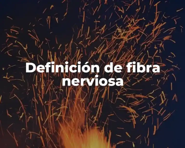 Definición de fibra nerviosa