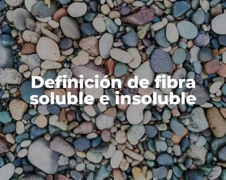 Definición de fibra soluble e insoluble