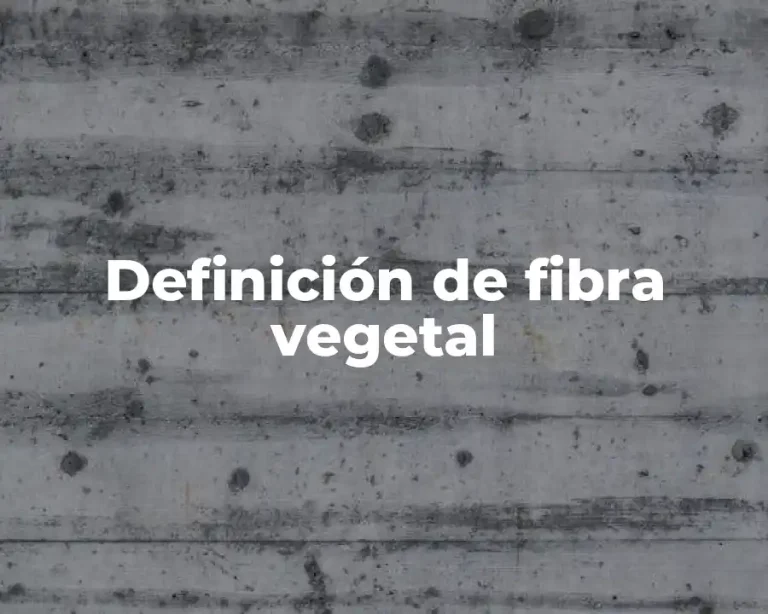 Definición de fibra vegetal