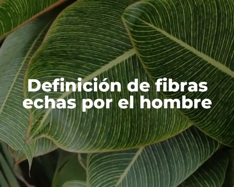 Definición de fibras echas por el hombre