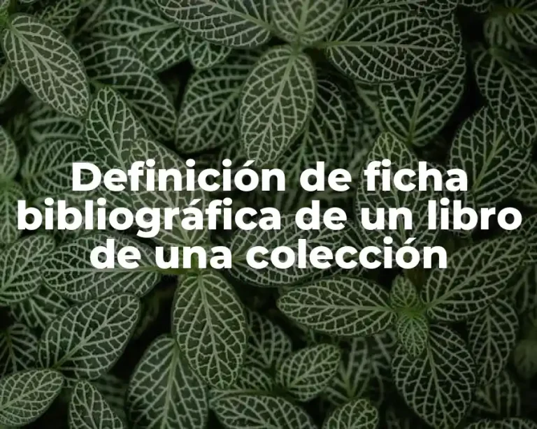 Definición de ficha bibliográfica de un libro de una colección