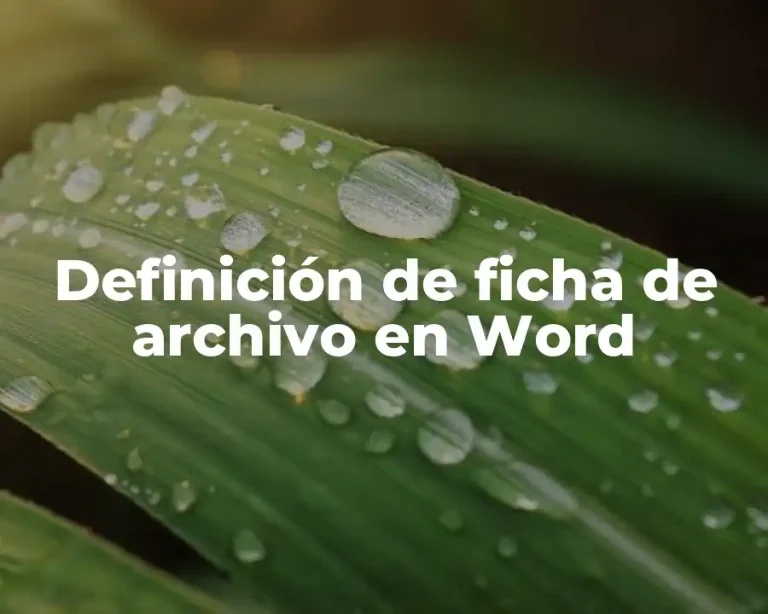 Definición de ficha de archivo en Word