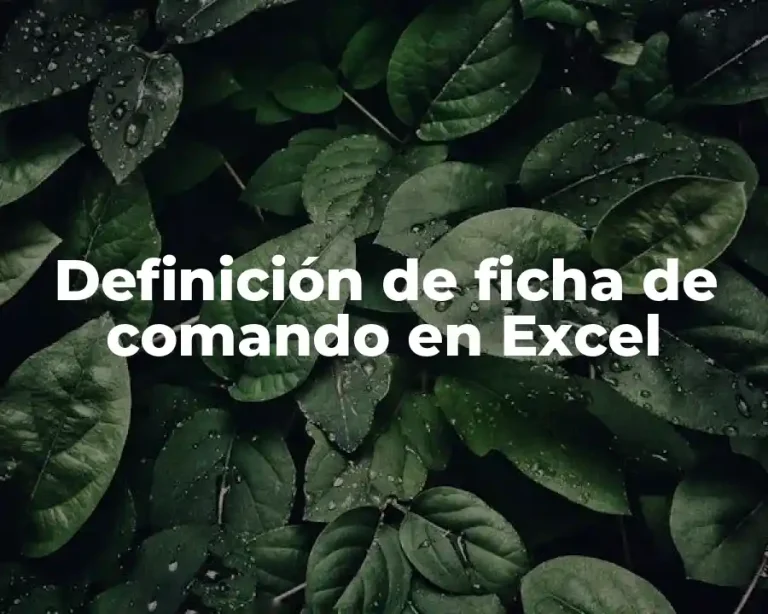 Definición de ficha de comando en Excel