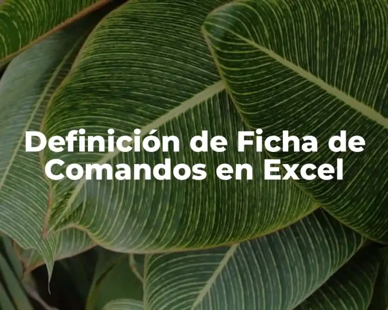 Definición de Ficha de Comandos en Excel