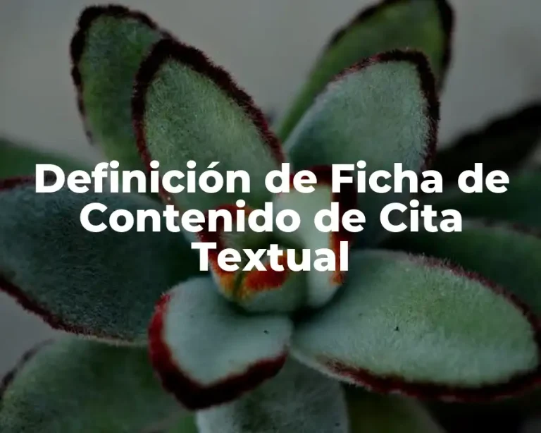 Definición de Ficha de Contenido de Cita Textual