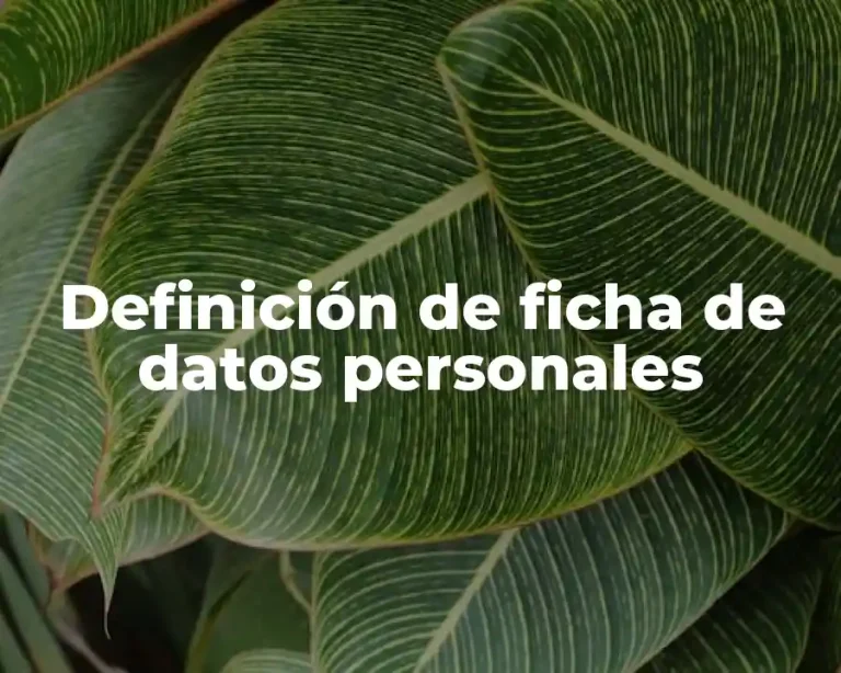 Definición de ficha de datos personales