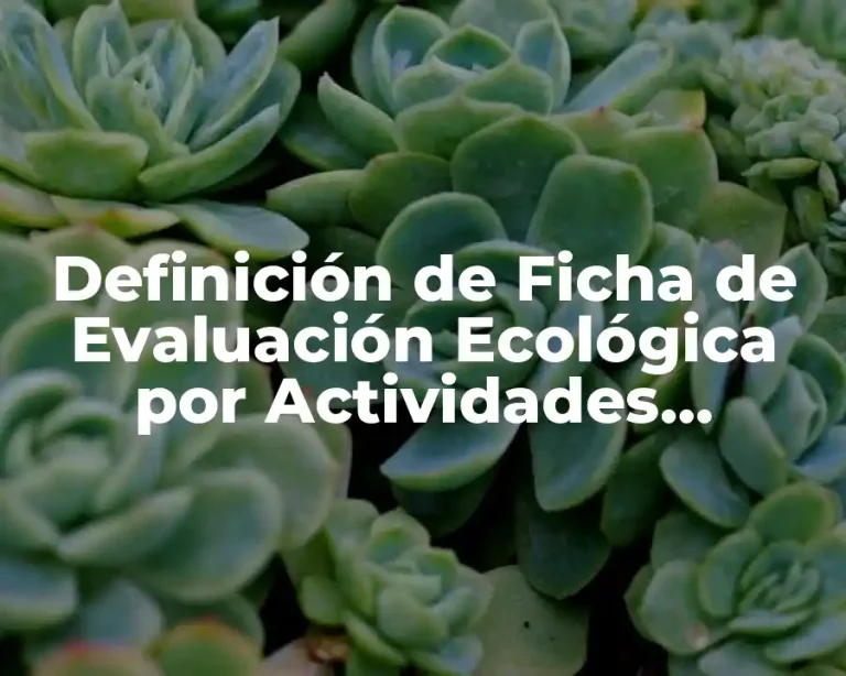 Definición de Ficha de Evaluación Ecológica por Actividades Petroleras