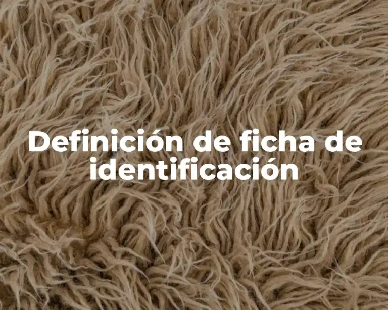 Definición de ficha de identificación