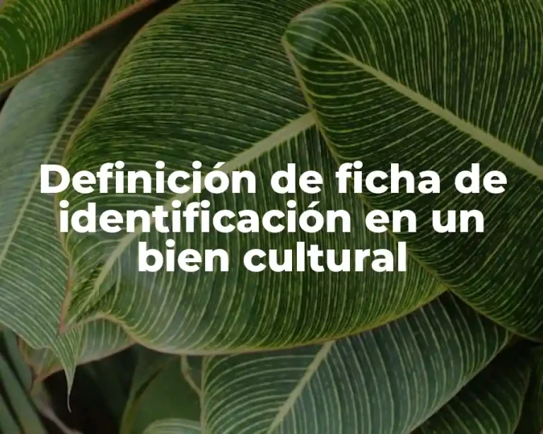 Definición de ficha de identificación en un bien cultural