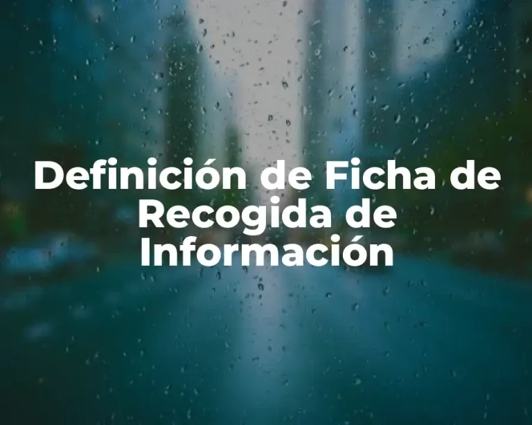 Definición de Ficha de Recogida de Información
