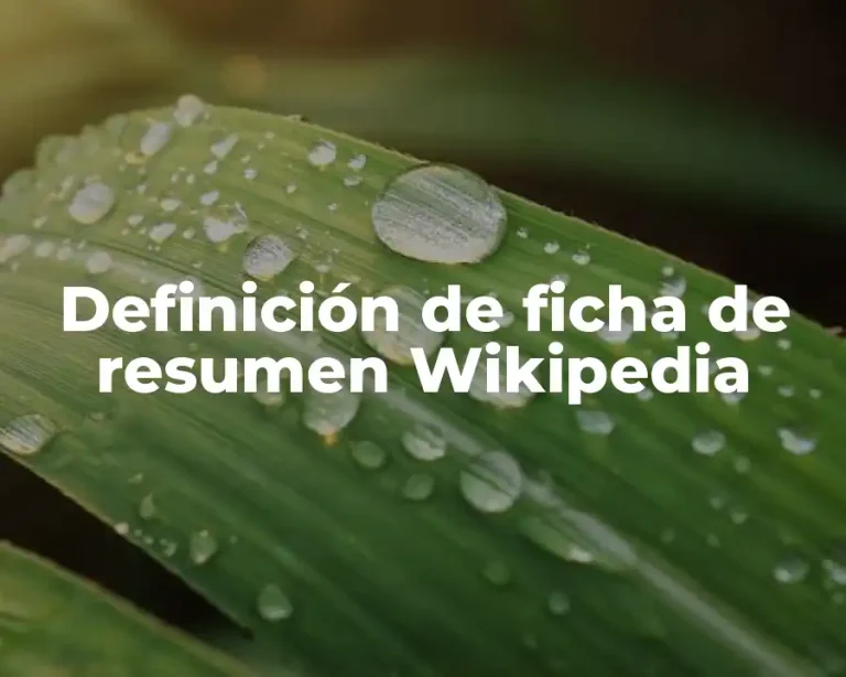 Definición de ficha de resumen Wikipedia