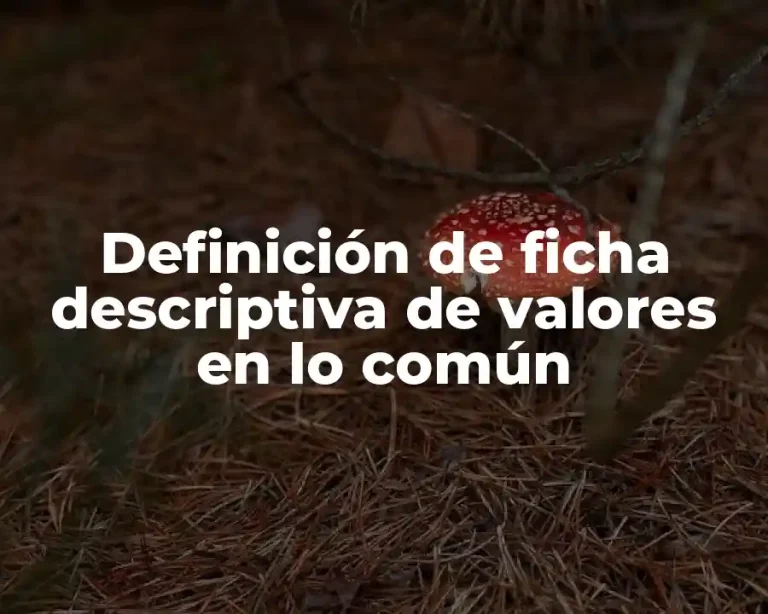 Definición de ficha descriptiva de valores en lo común