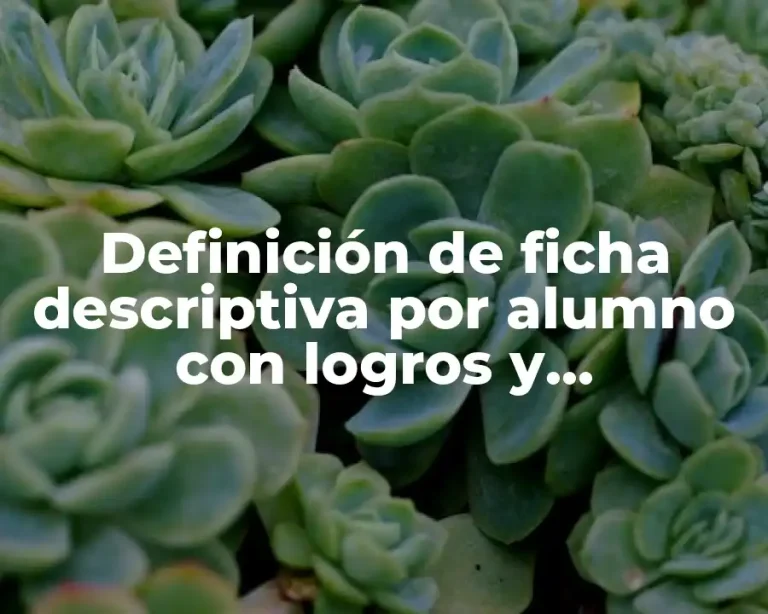 Definición de ficha descriptiva por alumno con logros y dificultades
