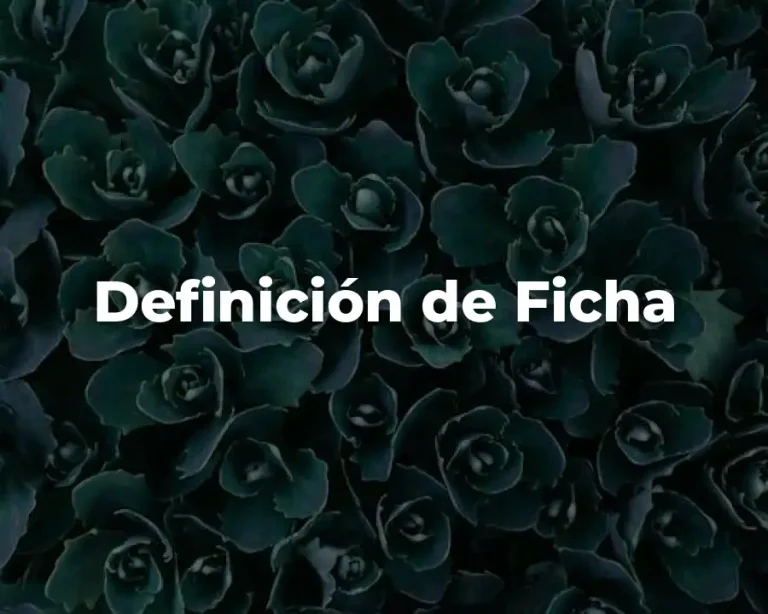 Definición de Ficha
