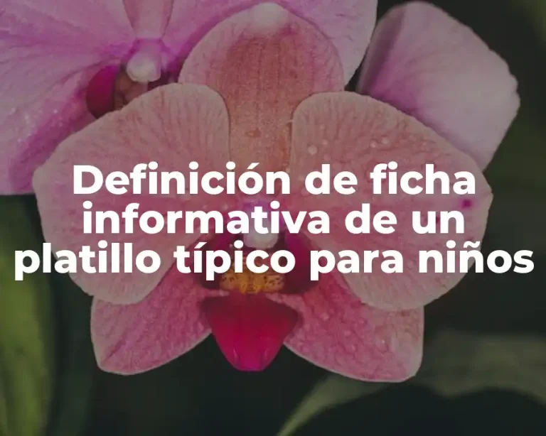 Definición de ficha informativa de un platillo típico para niños