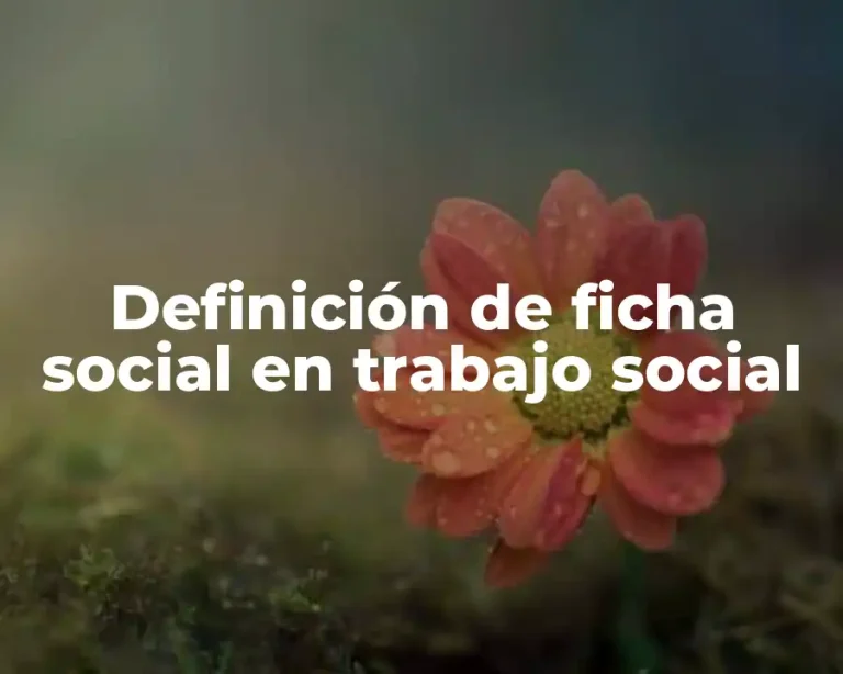 Definición de ficha social en trabajo social