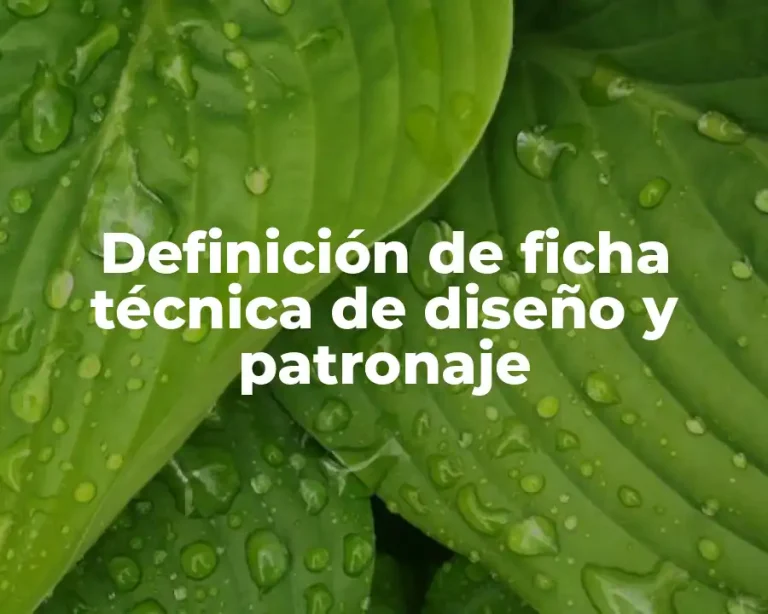 Definición de ficha técnica de diseño y patronaje