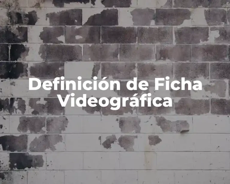 Definición de Ficha Videográfica