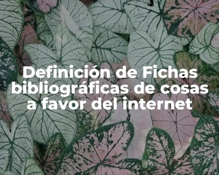 Definición de Fichas bibliográficas de cosas a favor del internet