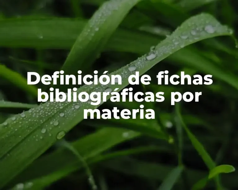 Definición de fichas bibliográficas por materia