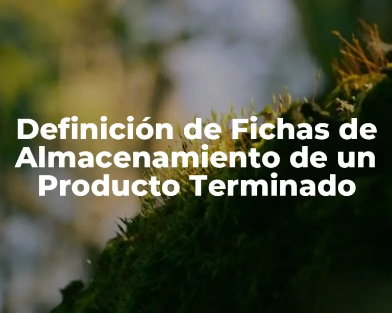 Definición de Fichas de Almacenamiento de un Producto Terminado