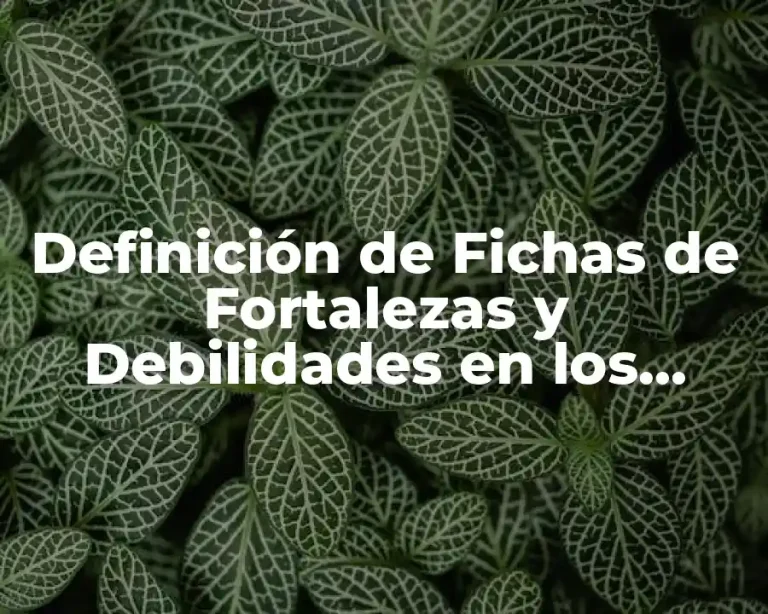 Definición de Fichas de Fortalezas y Debilidades en los Alumnos