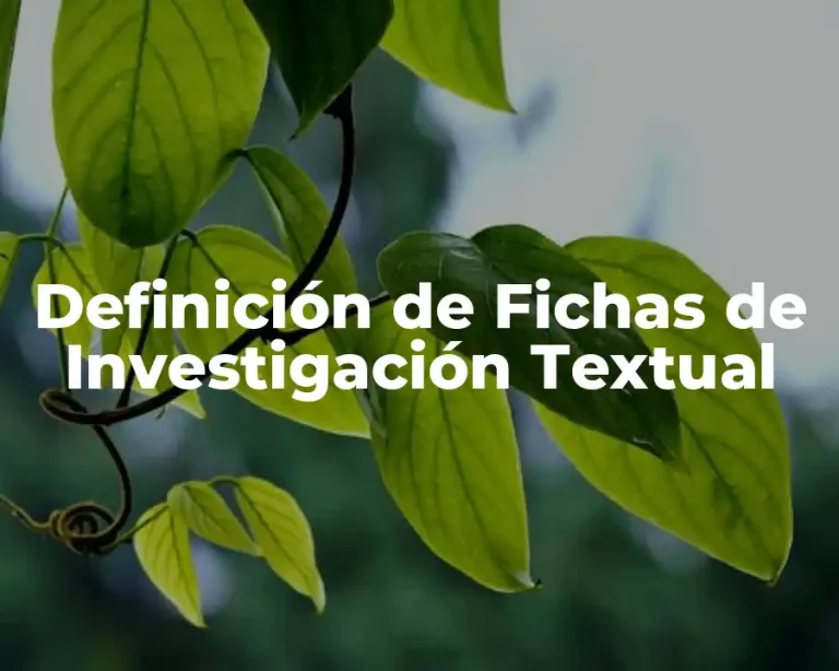 Definición de Fichas de Investigación Textual