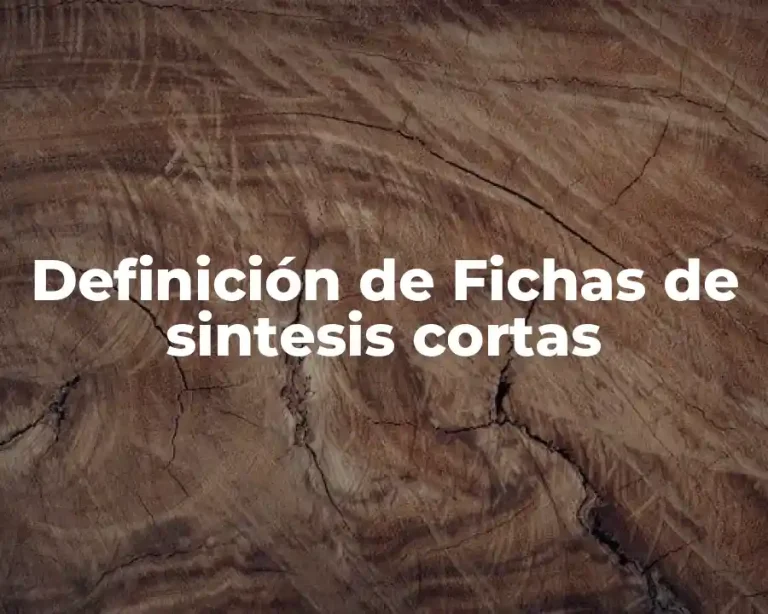 Definición de Fichas de sintesis cortas