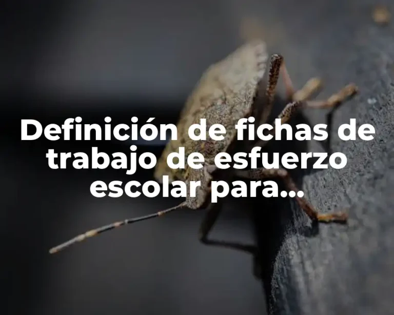 Definición de fichas de trabajo de esfuerzo escolar para calentamiento global